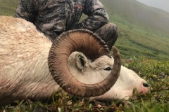 Alaska Summit Guide Service