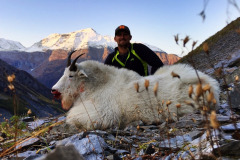 mountain-goat-and-mountains